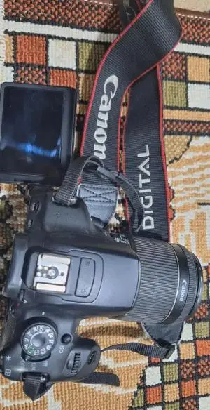 stock