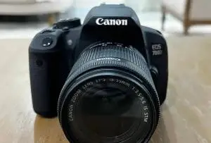 stock