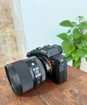 stock