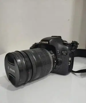 stock