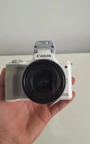 stock