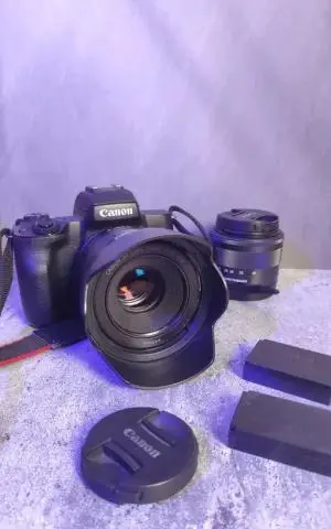 stock