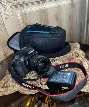 stock