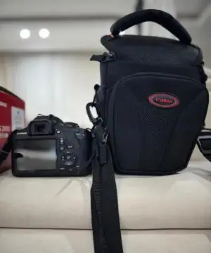 stock