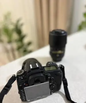 stock