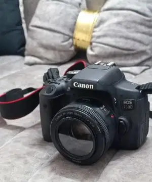 stock