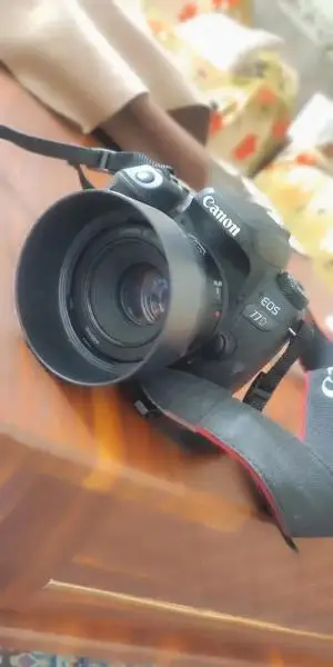 stock