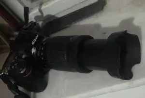 stock