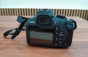stock