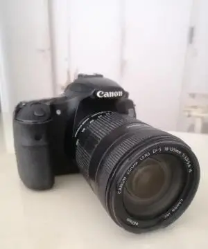 stock