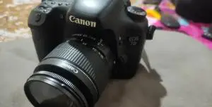 stock