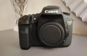 stock