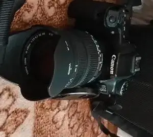 stock