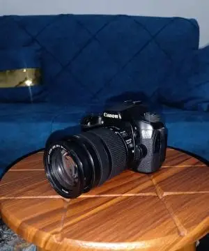 stock