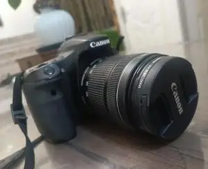 stock