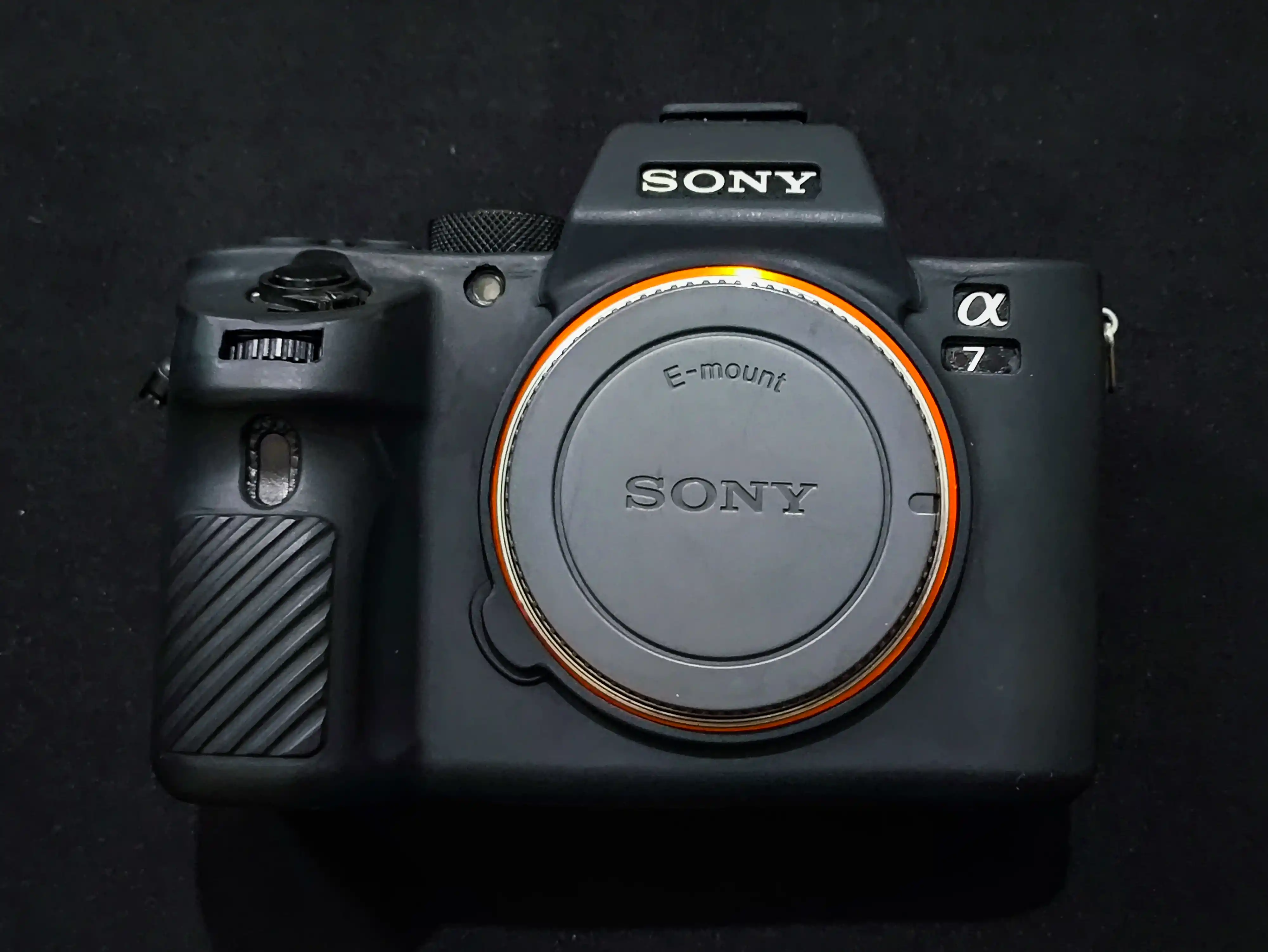 Sony alpha 7 SII دست دو
