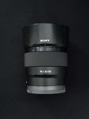 stock