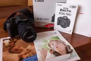 stock