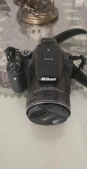 stock