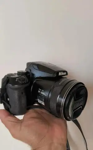 stock