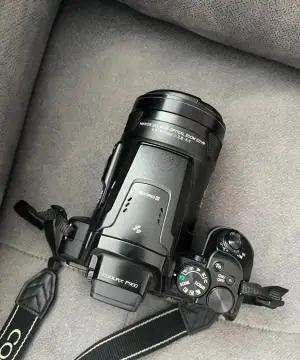 stock