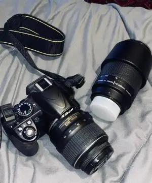 stock