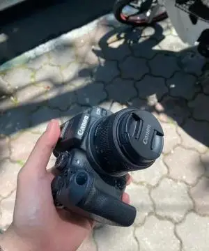 stock