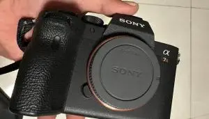 stock