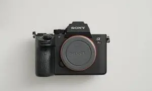 stock