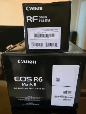 stock