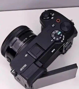 stock