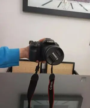 stock