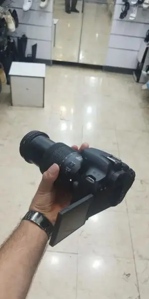 stock