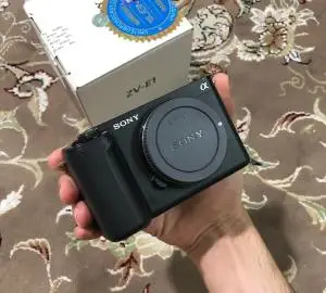 stock