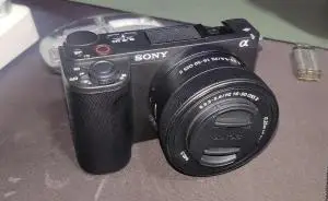 stock