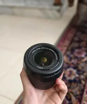stock