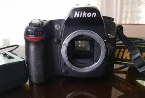 stock