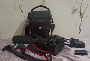 stock