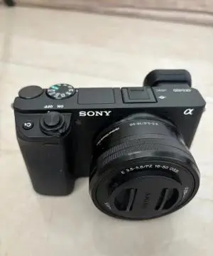 stock