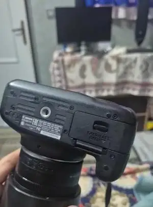 stock
