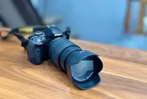 stock