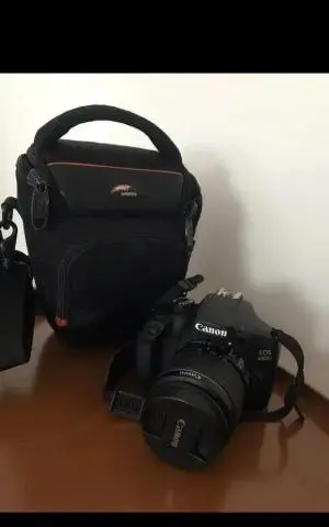 stock