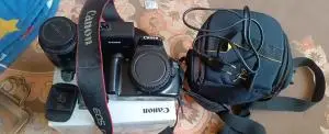 stock