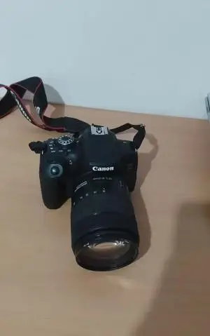 stock