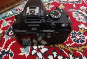 stock