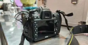 stock
