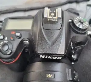 stock