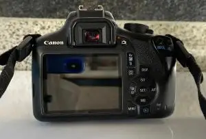 stock