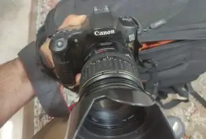 stock