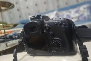 stock